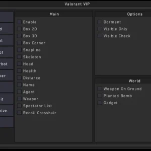 Valorant Cheat